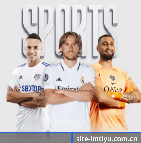 site-imtiyu.com.cn围绕看球场景设计的核心服务 - 多运动项目内容板块